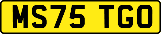 MS75TGO