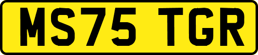 MS75TGR
