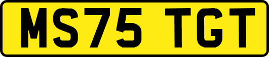 MS75TGT