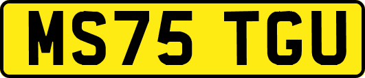 MS75TGU
