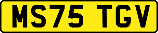 MS75TGV