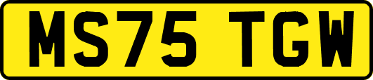 MS75TGW