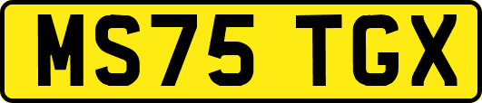 MS75TGX
