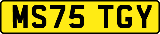 MS75TGY