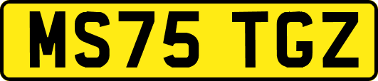 MS75TGZ