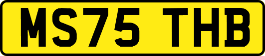 MS75THB