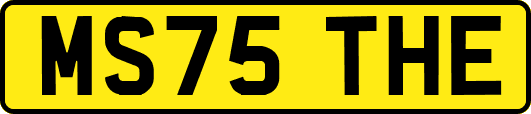 MS75THE