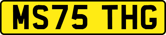 MS75THG