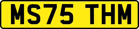 MS75THM