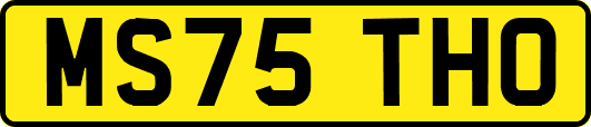 MS75THO