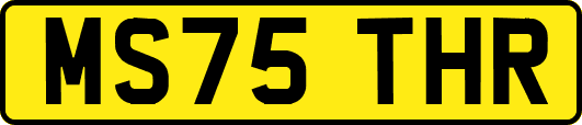 MS75THR