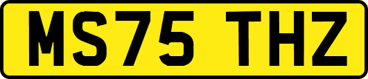 MS75THZ