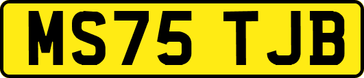MS75TJB