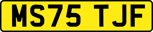 MS75TJF
