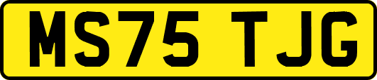 MS75TJG