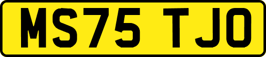MS75TJO