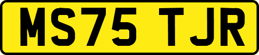 MS75TJR