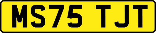 MS75TJT