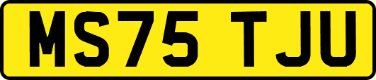 MS75TJU