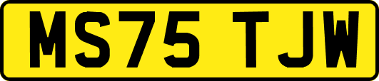 MS75TJW