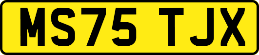 MS75TJX