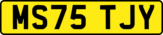 MS75TJY