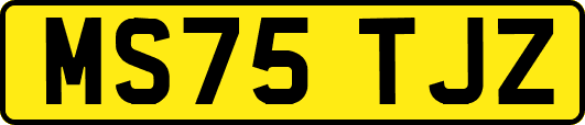 MS75TJZ