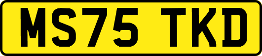 MS75TKD
