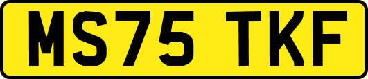 MS75TKF