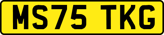 MS75TKG