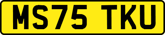 MS75TKU