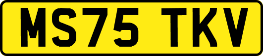 MS75TKV