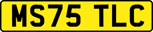 MS75TLC