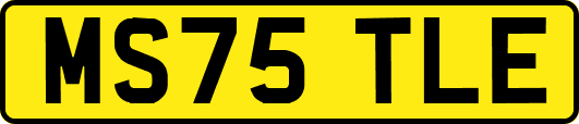 MS75TLE