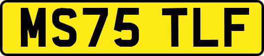 MS75TLF