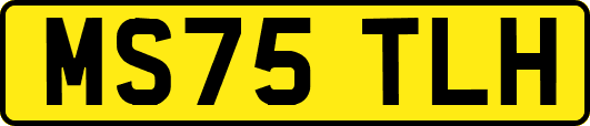 MS75TLH