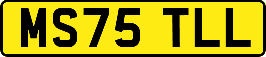 MS75TLL