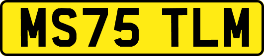 MS75TLM