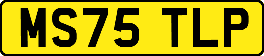 MS75TLP