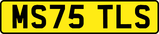 MS75TLS