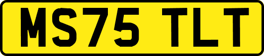 MS75TLT