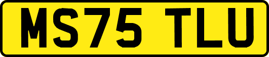 MS75TLU