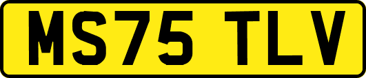MS75TLV