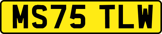 MS75TLW