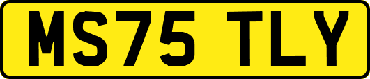 MS75TLY