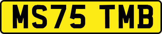 MS75TMB