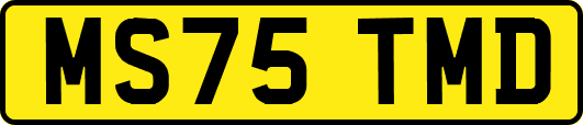 MS75TMD