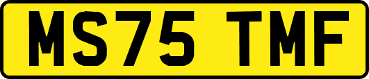 MS75TMF