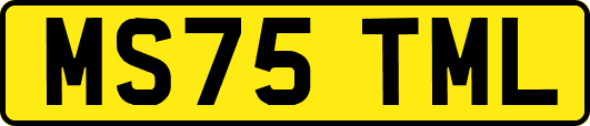 MS75TML