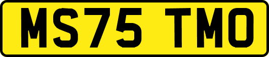 MS75TMO